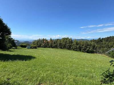 Grundstück kaufen in 8044 Weinitzen