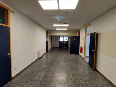 Gewerbeobjekt mieten in 2700 Wiener Neustadt (Bild 2)