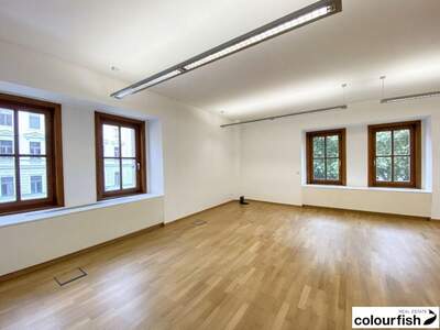 Gewerbeobjekt mieten in 1010 Wien (Bild 1)