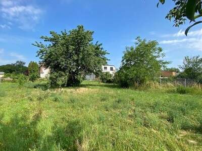 Grundstück kaufen in 2492 Zillingdorf