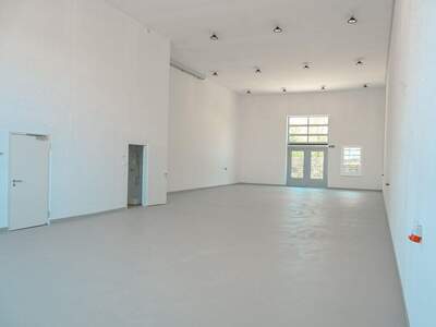 Gewerbeobjekt mieten in 2486 Pottendorf (Bild 5)