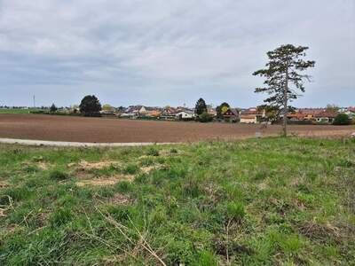 Grundstück kaufen in 2230 Gänserndorf