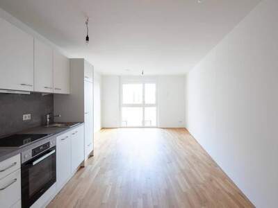 Wohnung kaufen in 1220 Wien