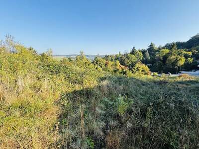 Grundstück kaufen in 3400 Klosterneuburg (Bild 3)