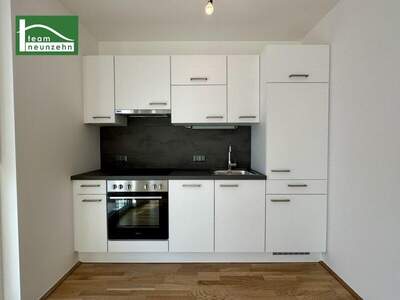 Terrassenwohnung mieten in 1220 Wien (Bild 3)