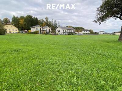 Grundstück kaufen in 4851 Gampern (Bild 2)