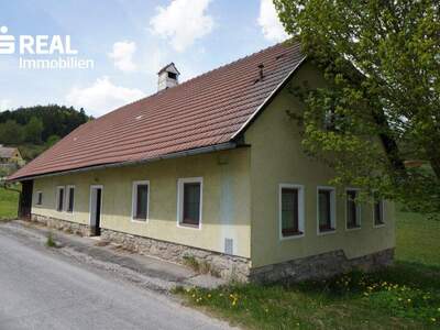 Haus kaufen in 3921 Langschlag (Bild 2)