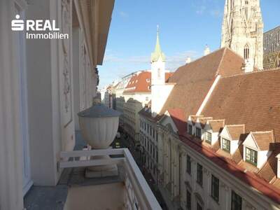 Terrassenwohnung mieten in 1010 Wien (Bild 3)
