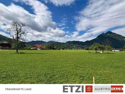 Haus kaufen in 4644 Grünau