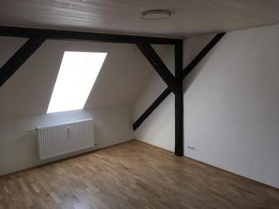 Apartment provisionsfrei mieten in 8010 Graz