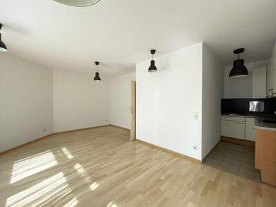 Wohnung mieten in 2340 Mödling (Bild 1)