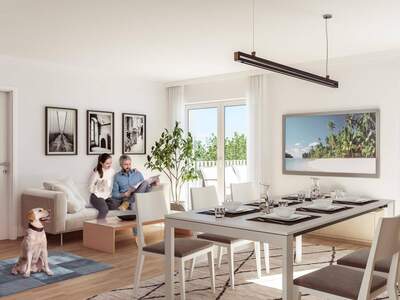 Anlageobjekt kaufen in 4050 Traun