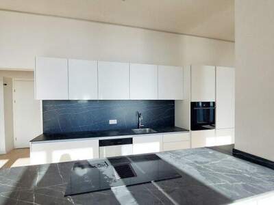 Terrassenwohnung mieten in 1220 Wien (Bild 5)