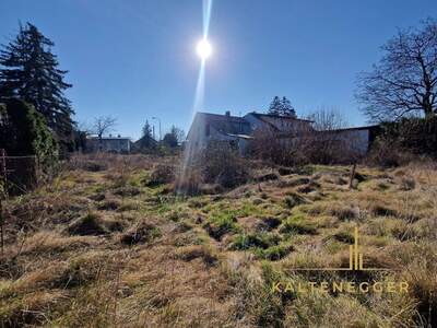 Grundstück kaufen in 1220 Wien