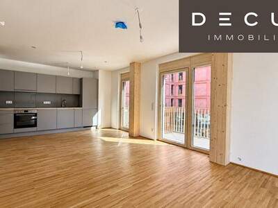 Terrassenwohnung mieten in 1030 Wien (Bild 1)