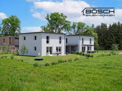 Haus kaufen in 6890 Lustenau