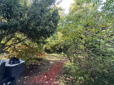 Haus kaufen in 7202 Bad Sauerbrunn (Bild 4)