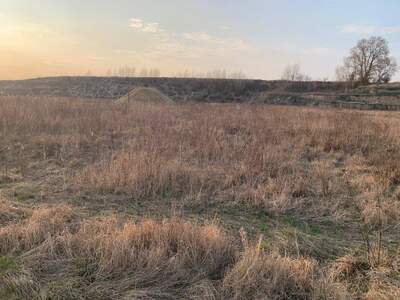 Gewerbeobjekt kaufen in 2002 Roseldorf