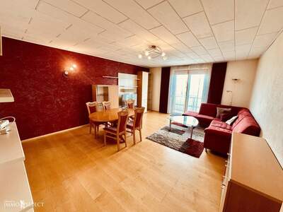 Wohnung mieten in 3382 Loosdorf