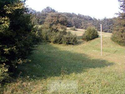 Grundstück kaufen in 3033 Altlengbach
