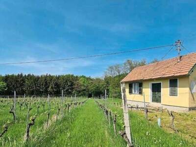 Immobilie kaufen in 7474 Eisenberg (Bild 3)