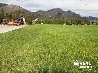 Grundstück kaufen in 4591 Molln (Bild 2)