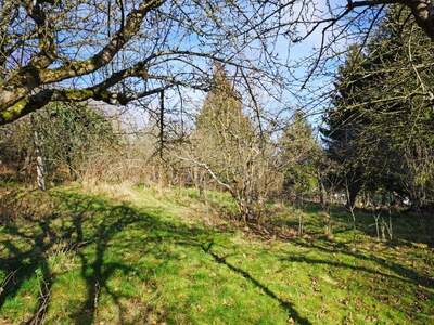 Grundstück kaufen in 3001 Mauerbach (Bild 3)