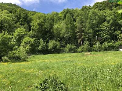 Grundstück kaufen in 8051 Graz (Bild 4)