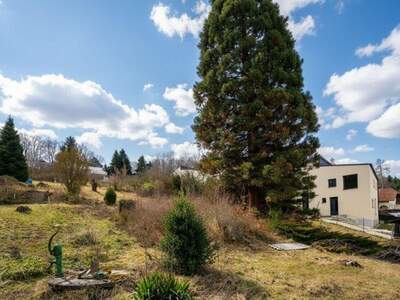 Grundstück kaufen in 3033 Altlengbach (Bild 2)