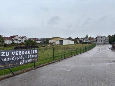Gewerbeobjekt kaufen in 7100 Neusiedl