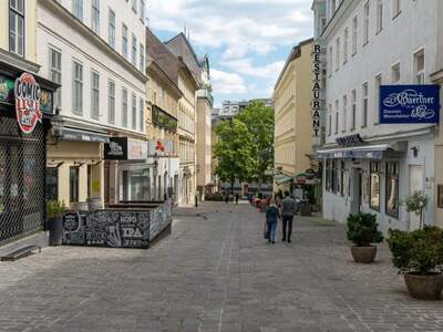 Gewerbeobjekt kaufen in 1060 Wien