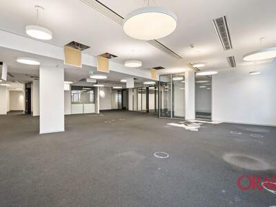 Gewerbeobjekt mieten in 1010 Wien (Bild 4)