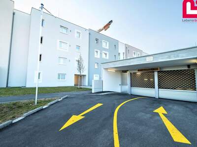 Immobilie mieten in 4053 Haid (Bild 1)