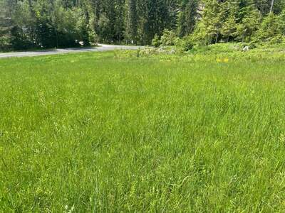 Grundstück kaufen in 9581 Ledenitzen (Bild 3)