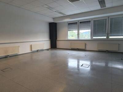 Gewerbeobjekt mieten in 8051 Graz (Bild 3)