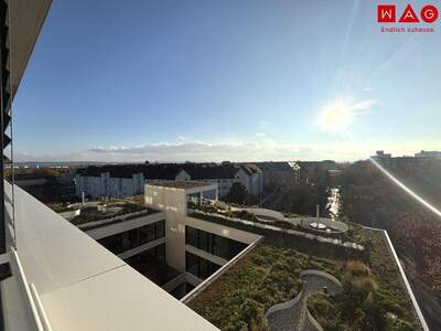 Terrassenwohnung mieten in 4020 Linz (Bild 1)