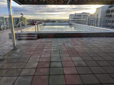 Terrassenwohnung mieten in 1220 Wien (Bild 2)