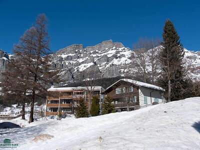 Gewerbeobjekt kaufen in 3954 Leukerbad (Bild 4)