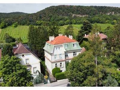 Haus kaufen in 2340 Mödling