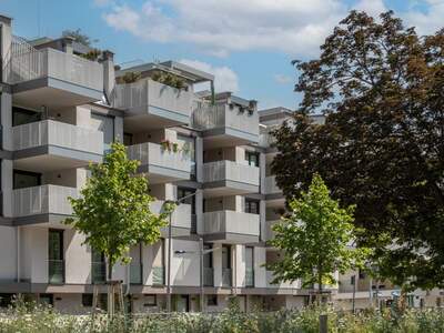 Terrassenwohnung kaufen in 1220 Wien (Bild 2)