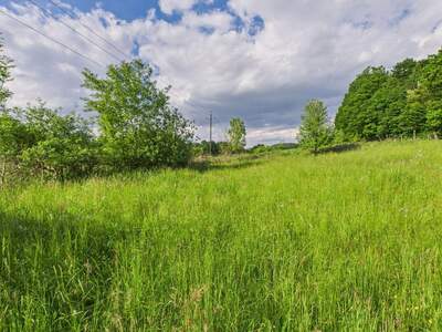 Grundstück kaufen in 8230 Eggendorf (Bild 3)