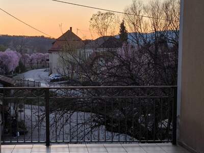 Wohnung mieten in 8063 Eggersdorf