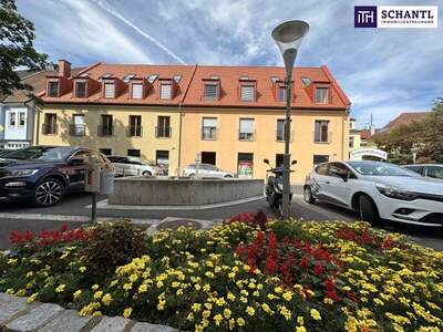 Wohnanlage kaufen in 8330 Feldbach (Bild 3)