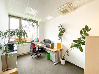 Gewerbeobjekt mieten in 5020 Salzburg (Bild 3)