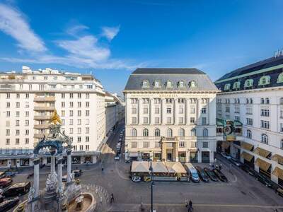 Wohnung kaufen in 1010 Wien