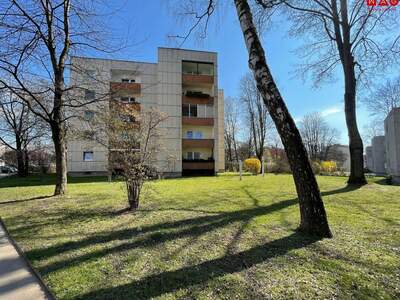 Wohnung mieten in 4020 Linz