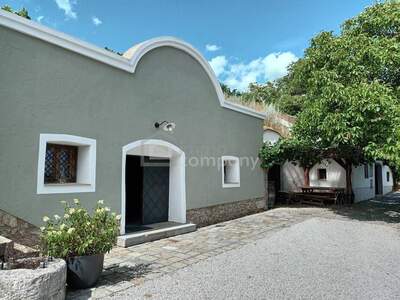 Gewerbeobjekt kaufen in 3495 Rohrendorf