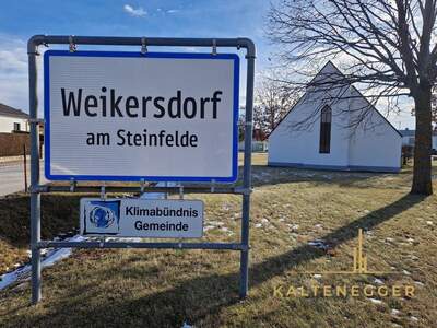 Grundstück kaufen in 2722 Weikersdorf (Bild 2)
