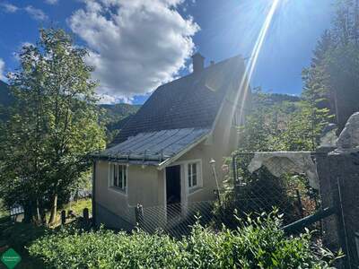 Grundstück kaufen in 2680 Semmering (Bild 3)