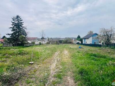 Grundstück kaufen in 2111 2111 Harmannsdorf (Bild 2)